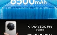 vivo Y300Pro：6500mAh超大电池，仅售1287元起，你还在等什么？