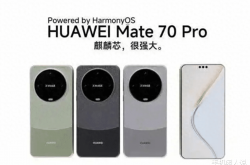 华为Mate70系列震撼登场！麒麟9100处理器、拍照升级，价格却上涨？你还会选择它吗？