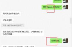 亚马逊VS Temu：大卖家面临艰难抉择，你支持谁？