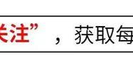 极兔速递：昔日风光无限，今朝何去何从？