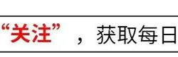 极兔速递：昔日风光无限，今朝何去何从？