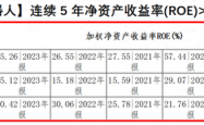 未来科技巨头？揭秘连续5年净资产收益率超15%的人形机器人、AI手机、智能驾驶、固态电池等科技潜力公司