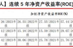 未来科技巨头？揭秘连续5年净资产收益率超15%的人形机器人、AI手机、智能驾驶、固态电池等科技潜力公司