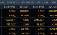 AI芯片巨头崛起：谷歌青睐，国内领先，世界第三，你还在等什么？