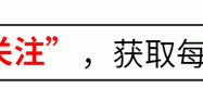 中国芯的希望？揭秘浙江大学氧化镓单晶衬底的重大突破